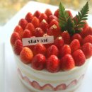 스테이550 이미지