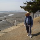 서천댁