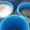 민들레세상 이미지