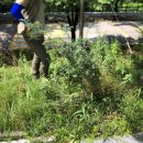 백암점현대자동차 | [해피무브theGreen] 소백산/계룡산 팀별봉사 후기 I 세븐티브(17팀)
