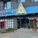 허브나무 이미지