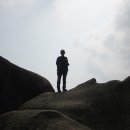 석곡돼지한마리 이미지