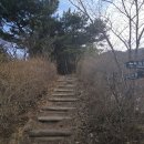 옥마산등산로 이미지