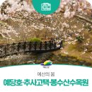 봄 내음 가득, 플로리스트(4월) | 봄 내음 가득한 예산의 봄
