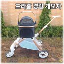 레인 켄넬 | 강아지유모차 추천 프라홈 개모차 솔직 후기｜둘째 맞이 준비 완벽했어요