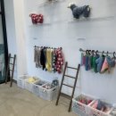 mung moong (멍뭉) 이미지