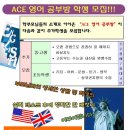에이스영어 이미지