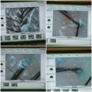 모락스칼프 이미지