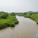 동암천 이미지
