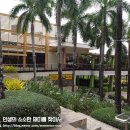 시티은행 앞 이미지