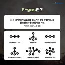 유황 F&S 이미지
