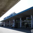 국제체험학습여행사주 이미지