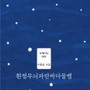 이윤길 - 희점무늬파란바다물뱀 이미지