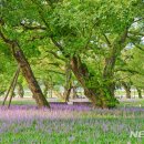 성주호 둘레길 독용산성길 코스 이미지