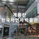 계룡산자연사박물관 | 계룡산 한국자연사박물관, 공룡 좋아하는 아이들 가기좋은 곳.