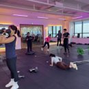 더베럴 캠프 이미지