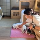 로켓참치 이미지