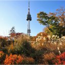 남산 - 강남구 삼성로 648 | 남산