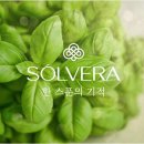 메종인셀덤