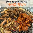 불돼지식당 | [송내역 맛집] 야장 노포 감성 유대봉꼼장어 산꼼장어 불돼지 후기