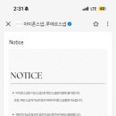 루에르스냅