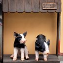 쌍용자동차 동김천서비스프라자 | 9월 둘째주 일상