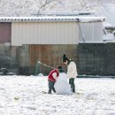 피그말리온 이미지