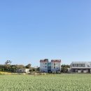 가라지하우스