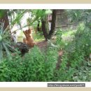 앵두펜션 이미지