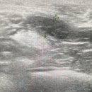 e-동물 메디컬 센터 이미지