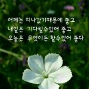 멋진하루 이미지