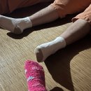 전주첨성대한증막 이미지