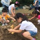 김장진농장 이미지