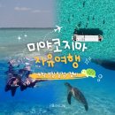 해리스키친 | [미야코지마 자유여행] 4박 5일 일정/경비 정리 및 공유