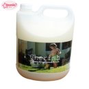 체리쉬퍼피 이미지