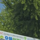 추산공원 | 유월민주누리걷기대회 (옛.만날고개걷기대회) 6월 민주항쟁 38주념 기념 행사 _ 따끈따끈 당일 참가 후기
