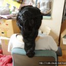 김영숙헤어 이미지