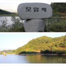 더힐링 이미지