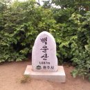 제140차 3월 백운산(원주) 시산제 산행(3월11일) 이미지