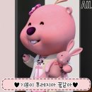 유어짐 가락 | 2023 후레지아 꽃 같아