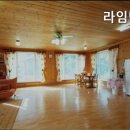 라임벨리 이미지