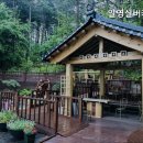 실버케어 이미지