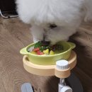 어 페일 블루닷 이미지