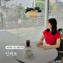 대전 네잎클로버 행운카페 인커브