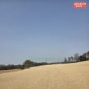 세컨더블비 이미지