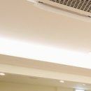 성모튼튼마취통증의학과의원 이미지