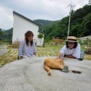 예사랑민박 이미지