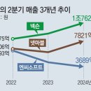 신흥시장 이미지