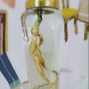 라제쉼터