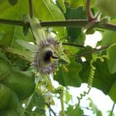 모리폴리 이미지